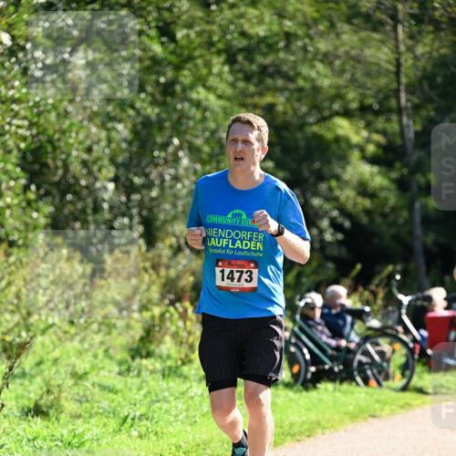 27.09.2026 - 35. Volkslauf durch das schöne Alstertal Dr. Thomas Lammeyer http://msf.ph/oto/10576241 27.09.2026 11:42:25 Laufen 1473 meine-sportfotos.de