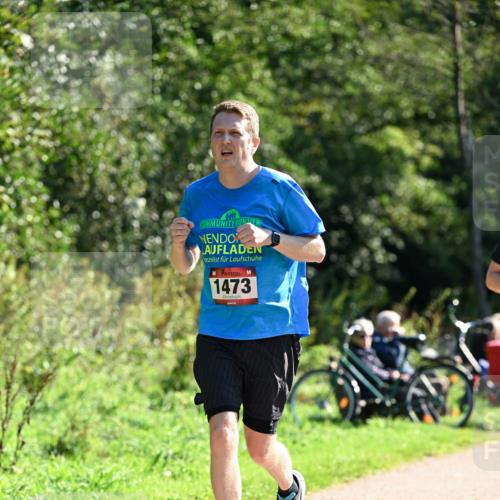 27.09.2026 - 35. Volkslauf durch das schöne Alstertal Dr. Thomas Lammeyer http://msf.ph/oto/10576245 27.09.2026 11:42:26 Laufen 1473 meine-sportfotos.de
