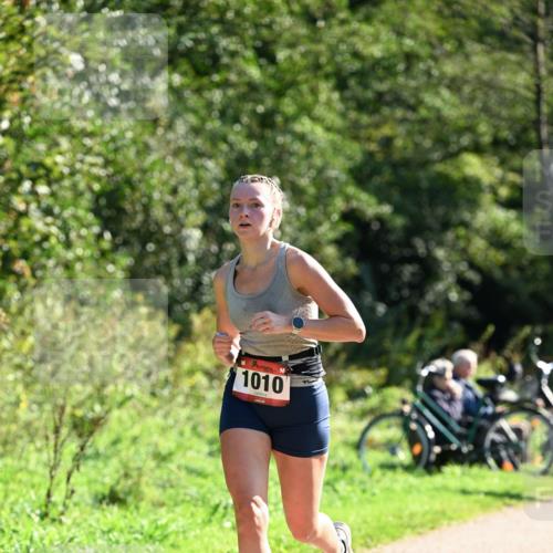 27.09.2026 - 35. Volkslauf durch das schöne Alstertal Dr. Thomas Lammeyer http://msf.ph/oto/10576276 27.09.2026 11:42:53 Laufen 1010 meine-sportfotos.de