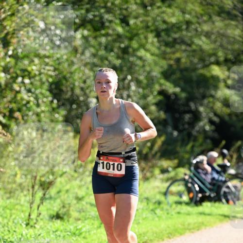 27.09.2026 - 35. Volkslauf durch das schöne Alstertal Dr. Thomas Lammeyer http://msf.ph/oto/10576277 27.09.2026 11:42:53 Laufen 1010 meine-sportfotos.de