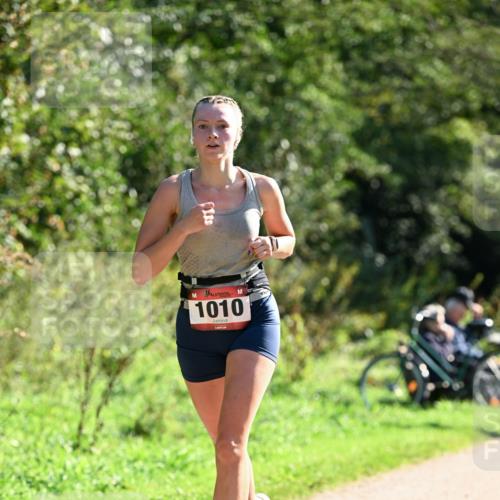 27.09.2026 - 35. Volkslauf durch das schöne Alstertal Dr. Thomas Lammeyer http://msf.ph/oto/10576279 27.09.2026 11:42:53 Laufen 1010 meine-sportfotos.de