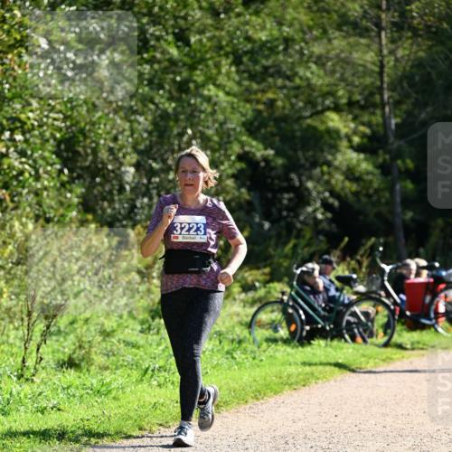 27.09.2026 - 35. Volkslauf durch das schöne Alstertal Dr. Thomas Lammeyer http://msf.ph/oto/10576281 27.09.2026 11:42:58 Laufen 3223 meine-sportfotos.de