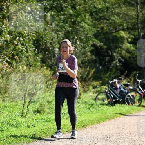 27.09.2026 - 35. Volkslauf durch das schöne Alstertal Dr. Thomas Lammeyer http://msf.ph/oto/10576283 27.09.2026 11:42:58 Laufen 322 meine-sportfotos.de