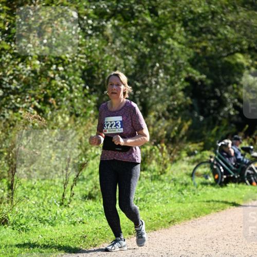 27.09.2026 - 35. Volkslauf durch das schöne Alstertal Dr. Thomas Lammeyer http://msf.ph/oto/10576285 27.09.2026 11:42:58 Laufen 3223 meine-sportfotos.de