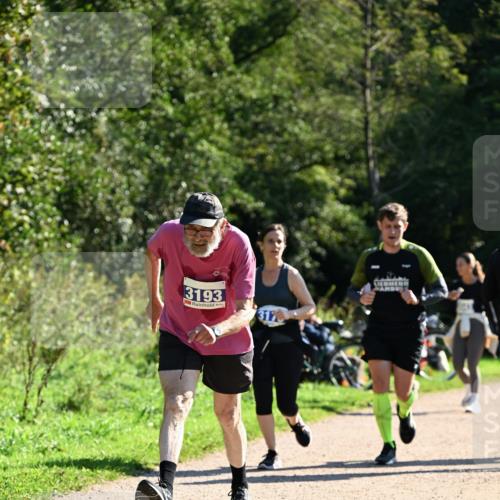 27.09.2026 - 35. Volkslauf durch das schöne Alstertal Dr. Thomas Lammeyer http://msf.ph/oto/10576305 27.09.2026 11:43:15 Laufen 3193 meine-sportfotos.de