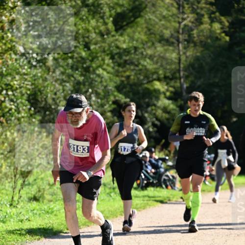 27.09.2026 - 35. Volkslauf durch das schöne Alstertal Dr. Thomas Lammeyer http://msf.ph/oto/10576308 27.09.2026 11:43:15 Laufen 3193, 3175 meine-sportfotos.de