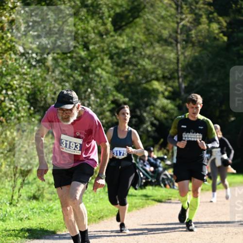 27.09.2026 - 35. Volkslauf durch das schöne Alstertal Dr. Thomas Lammeyer http://msf.ph/oto/10576310 27.09.2026 11:43:15 Laufen 3193, 3175 meine-sportfotos.de
