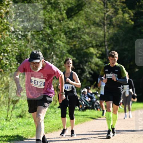 27.09.2026 - 35. Volkslauf durch das schöne Alstertal Dr. Thomas Lammeyer http://msf.ph/oto/10576312 27.09.2026 11:43:15 Laufen 3193, 175 meine-sportfotos.de