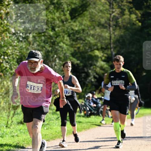 27.09.2026 - 35. Volkslauf durch das schöne Alstertal Dr. Thomas Lammeyer http://msf.ph/oto/10576313 27.09.2026 11:43:15 Laufen 3193, 175 meine-sportfotos.de