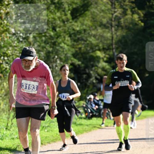 27.09.2026 - 35. Volkslauf durch das schöne Alstertal Dr. Thomas Lammeyer http://msf.ph/oto/10576314 27.09.2026 11:43:15 Laufen 3193 meine-sportfotos.de