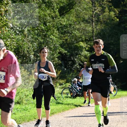 27.09.2026 - 35. Volkslauf durch das schöne Alstertal Dr. Thomas Lammeyer http://msf.ph/oto/10576315 27.09.2026 11:43:16 Laufen 3175, 3, 3044 meine-sportfotos.de