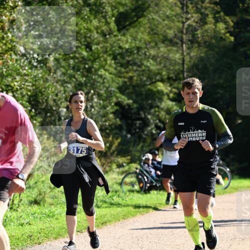 27.09.2026 - 35. Volkslauf durch das schöne Alstertal Dr. Thomas Lammeyer http://msf.ph/oto/10576316 27.09.2026 11:43:16 Laufen 3175 meine-sportfotos.de