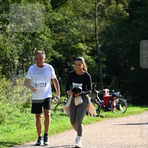 27.09.2026 - 35. Volkslauf durch das schöne Alstertal Dr. Thomas Lammeyer http://msf.ph/oto/10576326 27.09.2026 11:43:21 Laufen 3044 meine-sportfotos.de