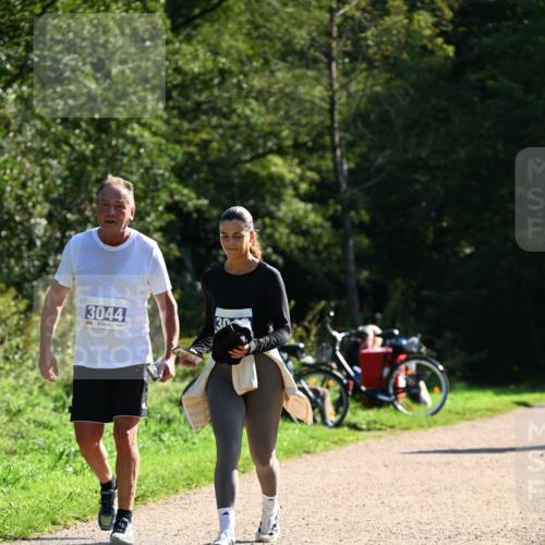 27.09.2026 - 35. Volkslauf durch das schöne Alstertal Dr. Thomas Lammeyer http://msf.ph/oto/10576329 27.09.2026 11:43:21 Laufen 3044 meine-sportfotos.de