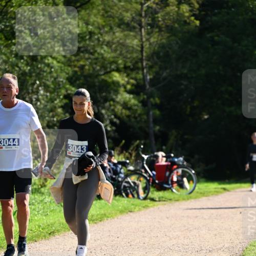 27.09.2026 - 35. Volkslauf durch das schöne Alstertal Dr. Thomas Lammeyer http://msf.ph/oto/10576330 27.09.2026 11:43:22 Laufen 3044, 3043 meine-sportfotos.de
