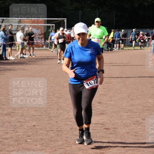 27.09.2026 - 35. Volkslauf durch das schöne Alstertal Strokosch-Dieckow http://msf.ph/oto/10576332 27.09.2026 12:30:39 Ziel 1072, 1647, 2080 meine-sportfotos.de