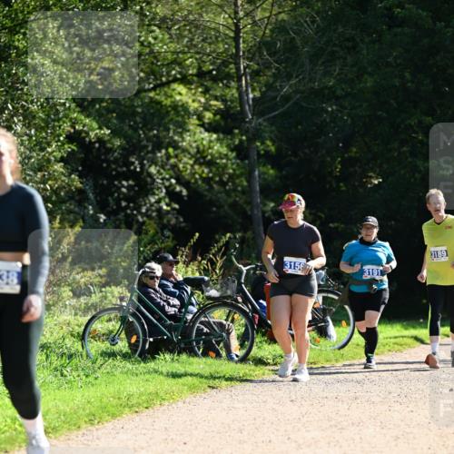 27.09.2026 - 35. Volkslauf durch das schöne Alstertal Dr. Thomas Lammeyer http://msf.ph/oto/10576334 27.09.2026 11:43:37 Laufen 38, 3156, 3191, 3189 meine-sportfotos.de