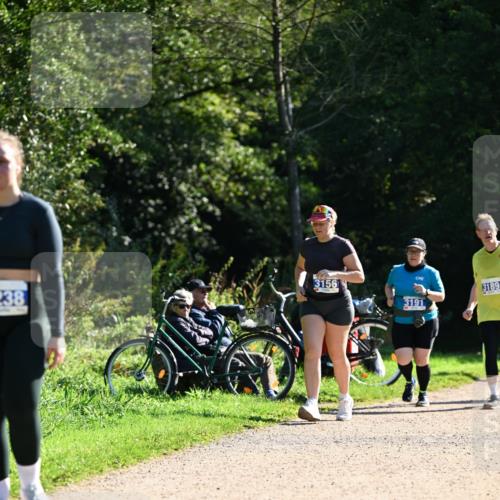 27.09.2026 - 35. Volkslauf durch das schöne Alstertal Dr. Thomas Lammeyer http://msf.ph/oto/10576335 27.09.2026 11:43:37 Laufen 238, 3156, 3191, 111, 3189 meine-sportfotos.de