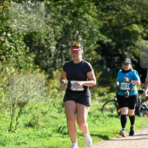 27.09.2026 - 35. Volkslauf durch das schöne Alstertal Dr. Thomas Lammeyer http://msf.ph/oto/10576336 27.09.2026 11:43:40 Laufen 3130, 3191 meine-sportfotos.de