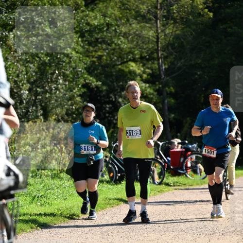 27.09.2026 - 35. Volkslauf durch das schöne Alstertal Dr. Thomas Lammeyer http://msf.ph/oto/10576343 27.09.2026 11:43:42 Laufen 3191, 3189, 1501 meine-sportfotos.de