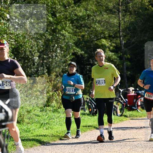 27.09.2026 - 35. Volkslauf durch das schöne Alstertal Dr. Thomas Lammeyer http://msf.ph/oto/10576344 27.09.2026 11:43:42 Laufen 156, 3191, 3189, 1501 meine-sportfotos.de