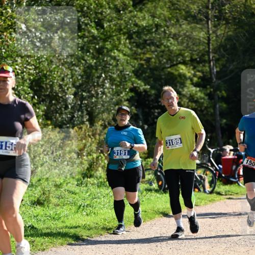 27.09.2026 - 35. Volkslauf durch das schöne Alstertal Dr. Thomas Lammeyer http://msf.ph/oto/10576345 27.09.2026 11:43:42 Laufen 3156, 3191, 3189, 150 meine-sportfotos.de