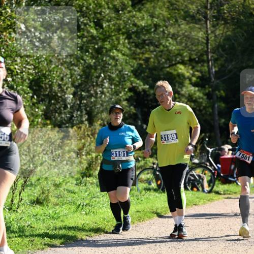27.09.2026 - 35. Volkslauf durch das schöne Alstertal Dr. Thomas Lammeyer http://msf.ph/oto/10576346 27.09.2026 11:43:42 Laufen 56, 31912, 3189, 1501 meine-sportfotos.de