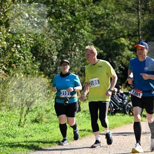 27.09.2026 - 35. Volkslauf durch das schöne Alstertal Dr. Thomas Lammeyer http://msf.ph/oto/10576353 27.09.2026 11:43:43 Laufen 3191, 3189, 1501 meine-sportfotos.de