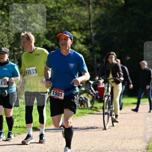 27.09.2026 - 35. Volkslauf durch das schöne Alstertal Dr. Thomas Lammeyer http://msf.ph/oto/10576357 27.09.2026 11:43:43 Laufen 191, 3189, 1501 meine-sportfotos.de