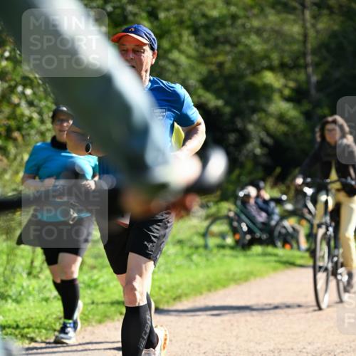 27.09.2026 - 35. Volkslauf durch das schöne Alstertal Dr. Thomas Lammeyer http://msf.ph/oto/10576363 27.09.2026 11:43:44 Laufen  meine-sportfotos.de