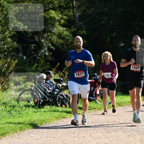 27.09.2026 - 35. Volkslauf durch das schöne Alstertal Dr. Thomas Lammeyer http://msf.ph/oto/10576370 27.09.2026 11:43:56 Laufen 1677, 3218, 1447 meine-sportfotos.de