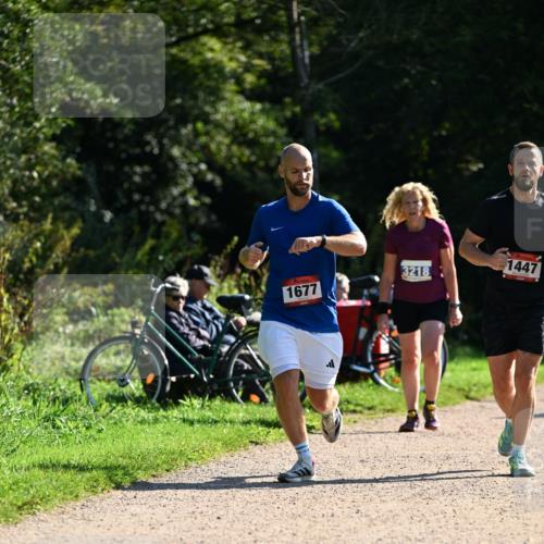 27.09.2026 - 35. Volkslauf durch das schöne Alstertal Dr. Thomas Lammeyer http://msf.ph/oto/10576371 27.09.2026 11:43:56 Laufen 1677, 3218, 1447 meine-sportfotos.de