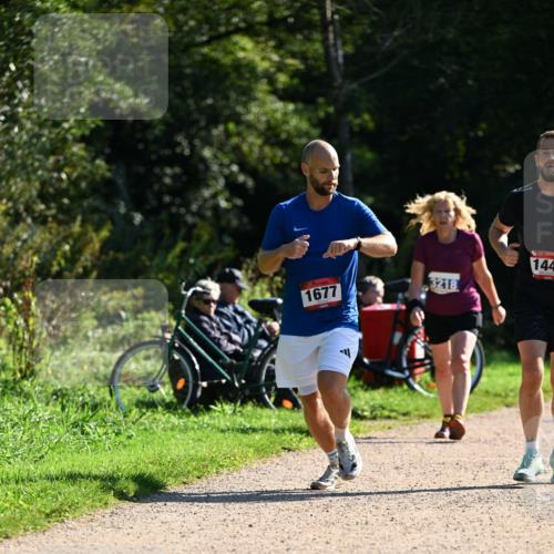 27.09.2026 - 35. Volkslauf durch das schöne Alstertal Dr. Thomas Lammeyer http://msf.ph/oto/10576372 27.09.2026 11:43:56 Laufen 1677, 3218, 144 meine-sportfotos.de