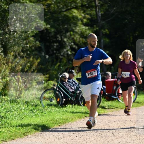 27.09.2026 - 35. Volkslauf durch das schöne Alstertal Dr. Thomas Lammeyer http://msf.ph/oto/10576375 27.09.2026 11:43:56 Laufen 1677, 3218 meine-sportfotos.de