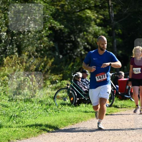 27.09.2026 - 35. Volkslauf durch das schöne Alstertal Dr. Thomas Lammeyer http://msf.ph/oto/10576376 27.09.2026 11:43:57 Laufen 1677, 3218 meine-sportfotos.de