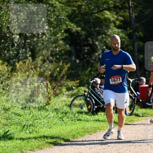 27.09.2026 - 35. Volkslauf durch das schöne Alstertal Dr. Thomas Lammeyer http://msf.ph/oto/10576377 27.09.2026 11:43:57 Laufen 1677 meine-sportfotos.de