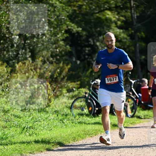 27.09.2026 - 35. Volkslauf durch das schöne Alstertal Dr. Thomas Lammeyer http://msf.ph/oto/10576378 27.09.2026 11:43:57 Laufen 1677 meine-sportfotos.de