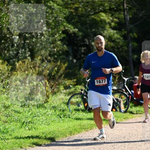 27.09.2026 - 35. Volkslauf durch das schöne Alstertal Dr. Thomas Lammeyer http://msf.ph/oto/10576379 27.09.2026 11:43:57 Laufen 1677, 3218 meine-sportfotos.de