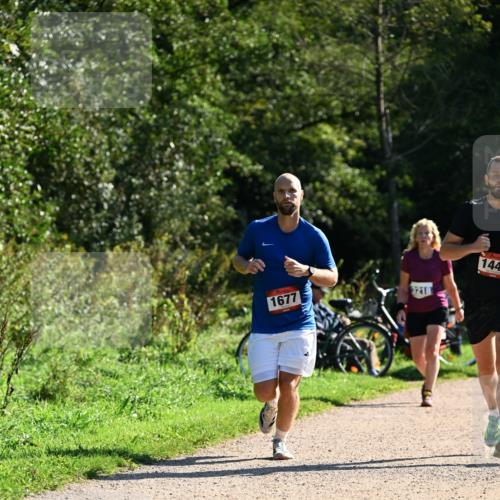 27.09.2026 - 35. Volkslauf durch das schöne Alstertal Dr. Thomas Lammeyer http://msf.ph/oto/10576384 27.09.2026 11:43:57 Laufen 1677, 3218, 144 meine-sportfotos.de