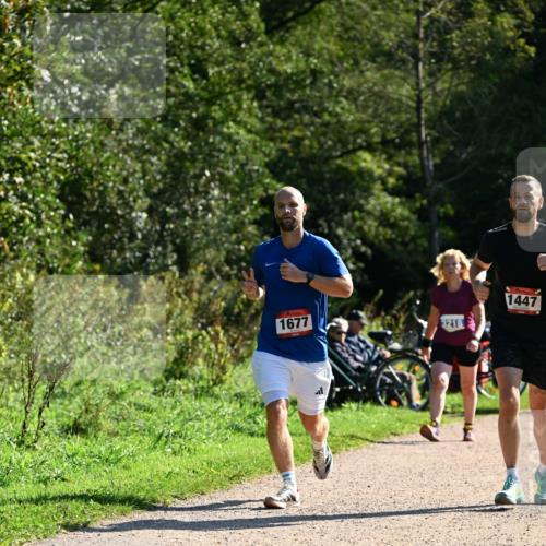 27.09.2026 - 35. Volkslauf durch das schöne Alstertal Dr. Thomas Lammeyer http://msf.ph/oto/10576386 27.09.2026 11:43:58 Laufen 1677, 3218, 1447 meine-sportfotos.de