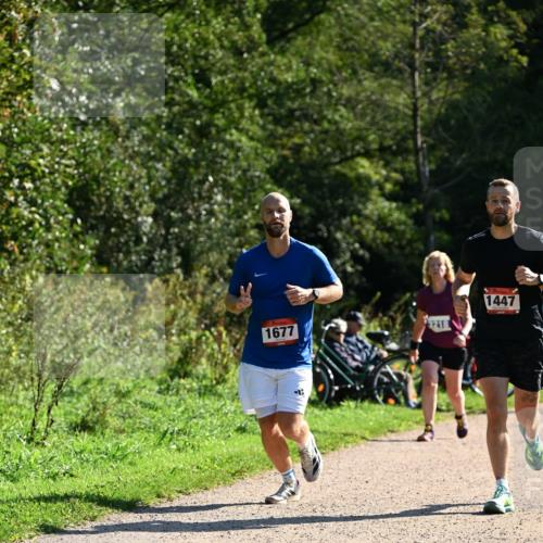 27.09.2026 - 35. Volkslauf durch das schöne Alstertal Dr. Thomas Lammeyer http://msf.ph/oto/10576388 27.09.2026 11:43:58 Laufen 1677, 3218, 1447 meine-sportfotos.de