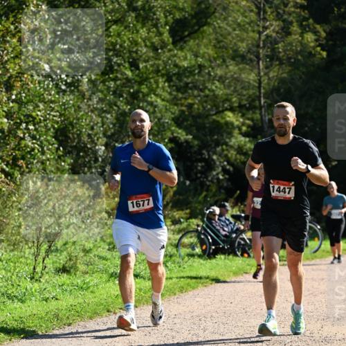 27.09.2026 - 35. Volkslauf durch das schöne Alstertal Dr. Thomas Lammeyer http://msf.ph/oto/10576393 27.09.2026 11:43:58 Laufen 1677, 1447 meine-sportfotos.de