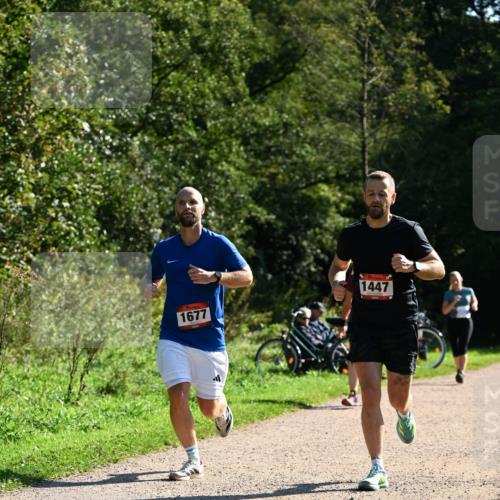 27.09.2026 - 35. Volkslauf durch das schöne Alstertal Dr. Thomas Lammeyer http://msf.ph/oto/10576394 27.09.2026 11:43:58 Laufen 1677, 1447 meine-sportfotos.de