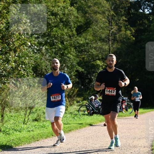 27.09.2026 - 35. Volkslauf durch das schöne Alstertal Dr. Thomas Lammeyer http://msf.ph/oto/10576395 27.09.2026 11:43:59 Laufen 1447, 1677 meine-sportfotos.de
