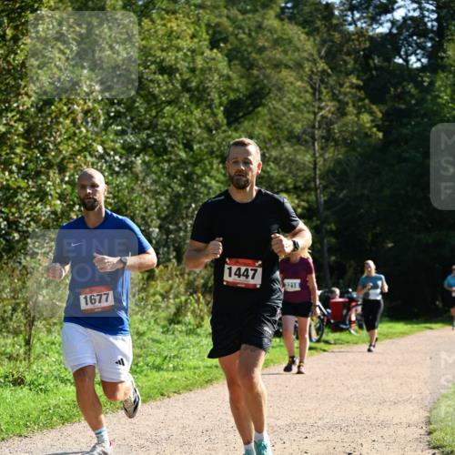 27.09.2026 - 35. Volkslauf durch das schöne Alstertal Dr. Thomas Lammeyer http://msf.ph/oto/10576400 27.09.2026 11:43:59 Laufen 1677, 1447, 3218 meine-sportfotos.de