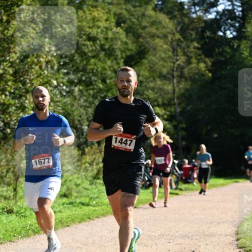 27.09.2026 - 35. Volkslauf durch das schöne Alstertal Dr. Thomas Lammeyer http://msf.ph/oto/10576401 27.09.2026 11:43:59 Laufen 1677, 1447 meine-sportfotos.de