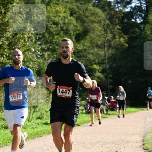 27.09.2026 - 35. Volkslauf durch das schöne Alstertal Dr. Thomas Lammeyer http://msf.ph/oto/10576402 27.09.2026 11:44:00 Laufen 1677, 1447 meine-sportfotos.de