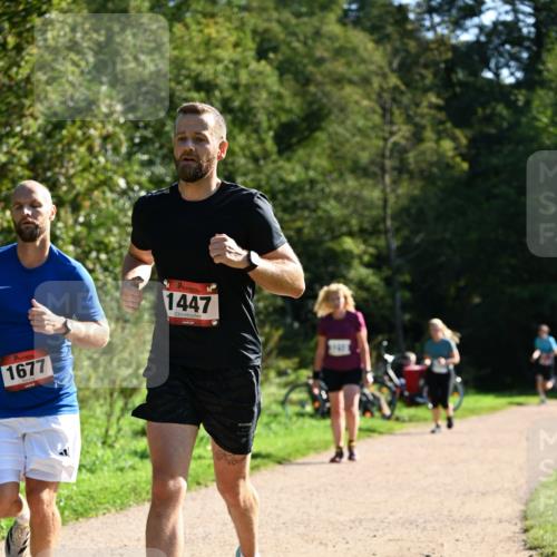 27.09.2026 - 35. Volkslauf durch das schöne Alstertal Dr. Thomas Lammeyer http://msf.ph/oto/10576403 27.09.2026 11:44:00 Laufen 1677, 1447 meine-sportfotos.de