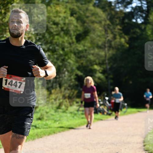 27.09.2026 - 35. Volkslauf durch das schöne Alstertal Dr. Thomas Lammeyer http://msf.ph/oto/10576408 27.09.2026 11:44:00 Laufen 1447 meine-sportfotos.de