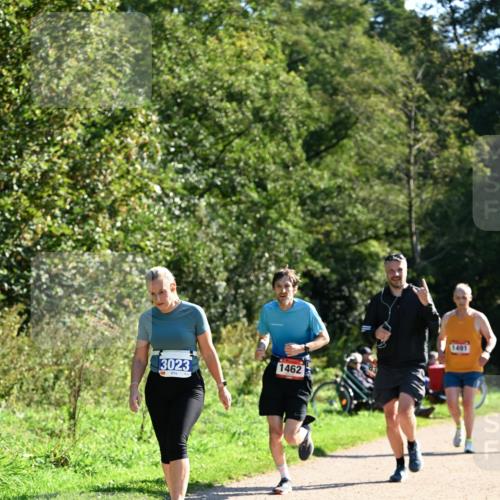 27.09.2026 - 35. Volkslauf durch das schöne Alstertal Dr. Thomas Lammeyer http://msf.ph/oto/10576416 27.09.2026 11:44:07 Laufen 3023, 1462, 1491 meine-sportfotos.de